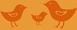 3 birds representing family